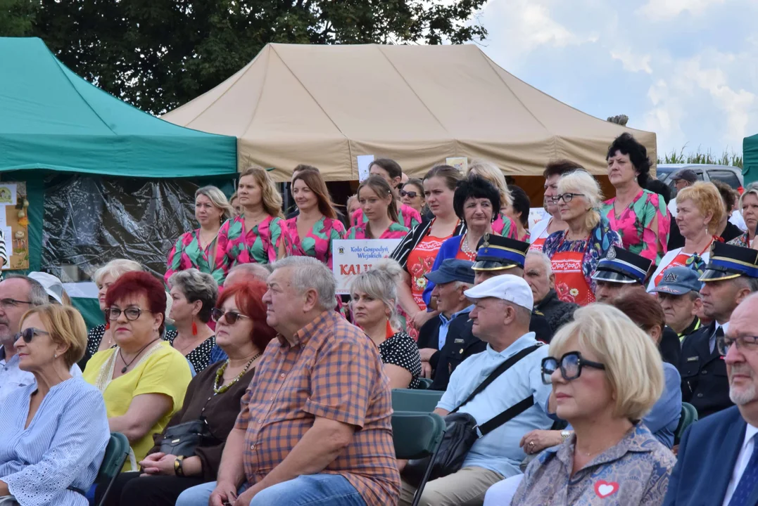 Dożynki gminy Stryków w Warszewicach