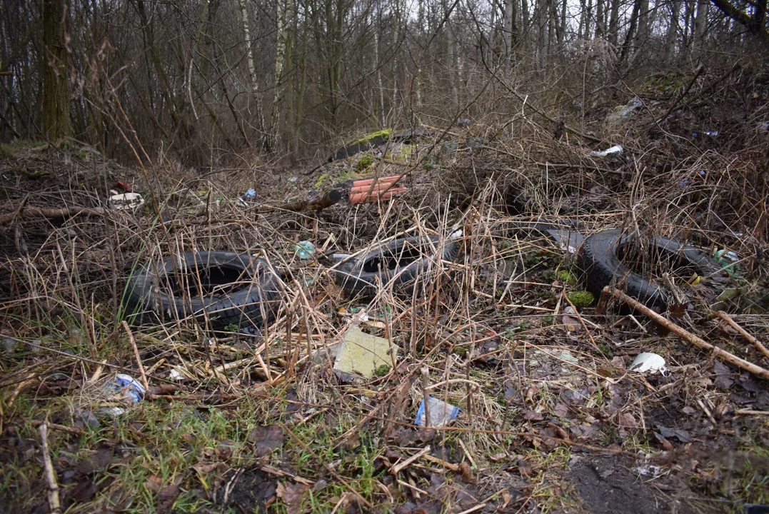 Składowisko odpadów na ul. Szczawińskiej w Zgierzu