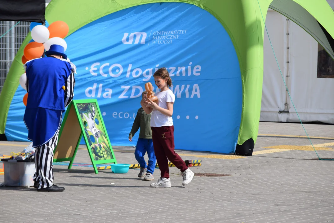 Piknik podczas DOZ Maraton Łódź 2024