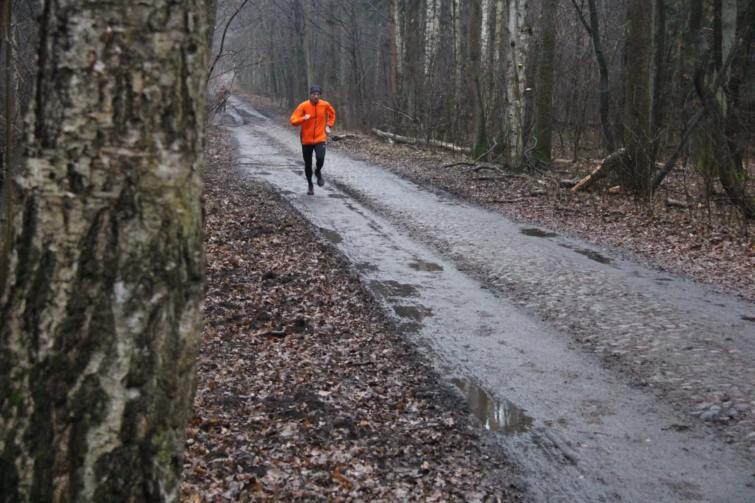 Walentynkowy parkrun w Lesie Łagiewnickim