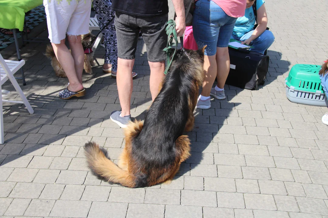 Animal Patrol świętuje swoje 8. urodziny