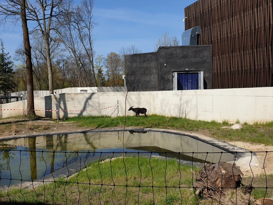 Orientarium ZOO Łódź