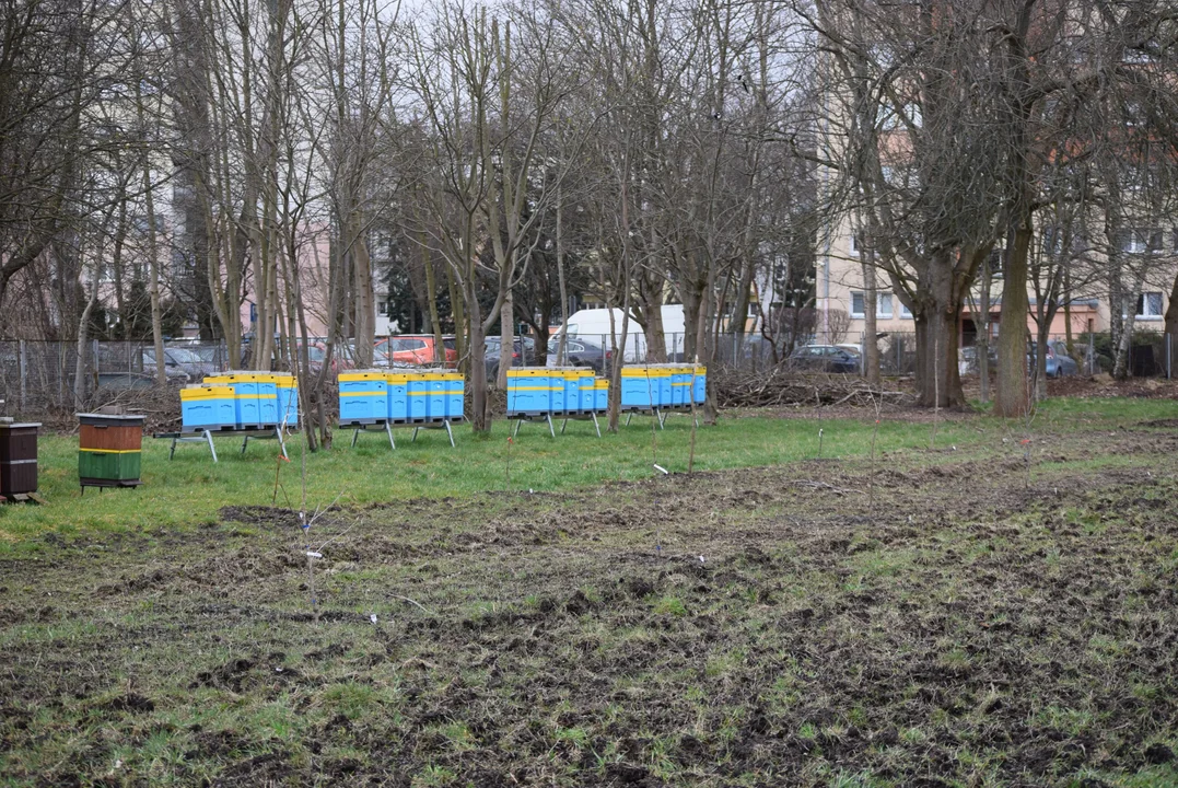 Drzwi otwarte w Zespole Szkół Rzemiosła