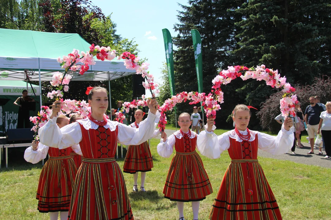 "Majówka w ogrodzie" - Ogród Botaniczny w Łodzi zaprasza na piknik rodzinny