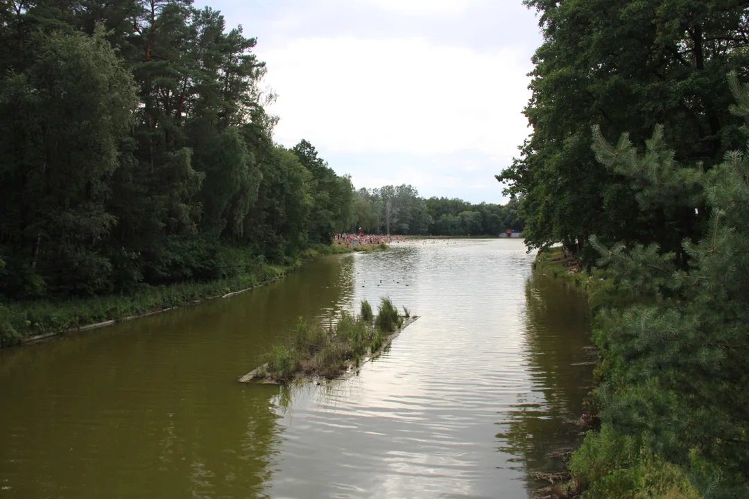 Arturówek podczas upałów - 16.07.2023 r.