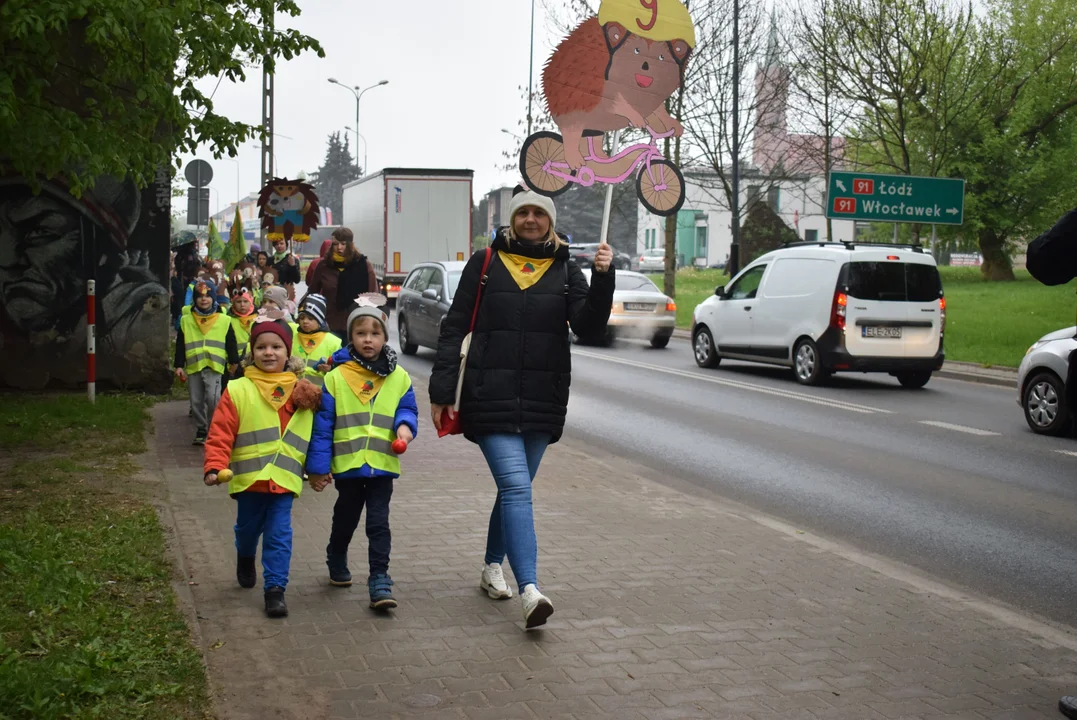 Parada jeży w Zgierzu