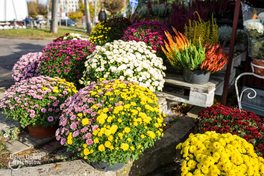 Ceny na cmentarzu w Bełchatowie
