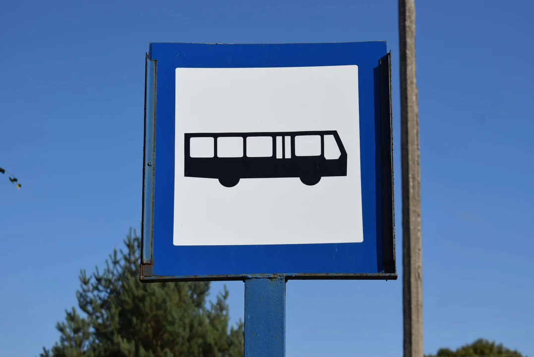 Zmieniono rozkład jazdy autobusu w Zgierzu. Czy mieszkańcy będą mieli częstsze połączenia? [GALERIA] - Zdjęcie główne