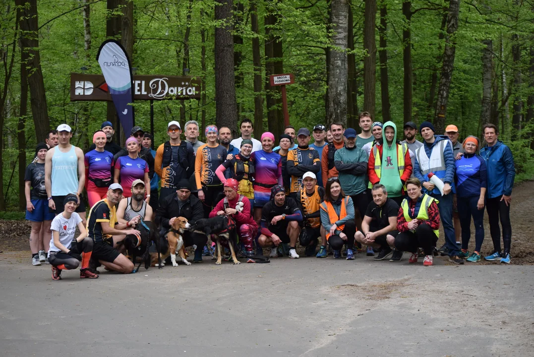 Parkrun w Lesie Łagiewnickim. Biegali, truchtali i maszerowali z uśmiechem na ustach [zdjęcia] - Zdjęcie główne