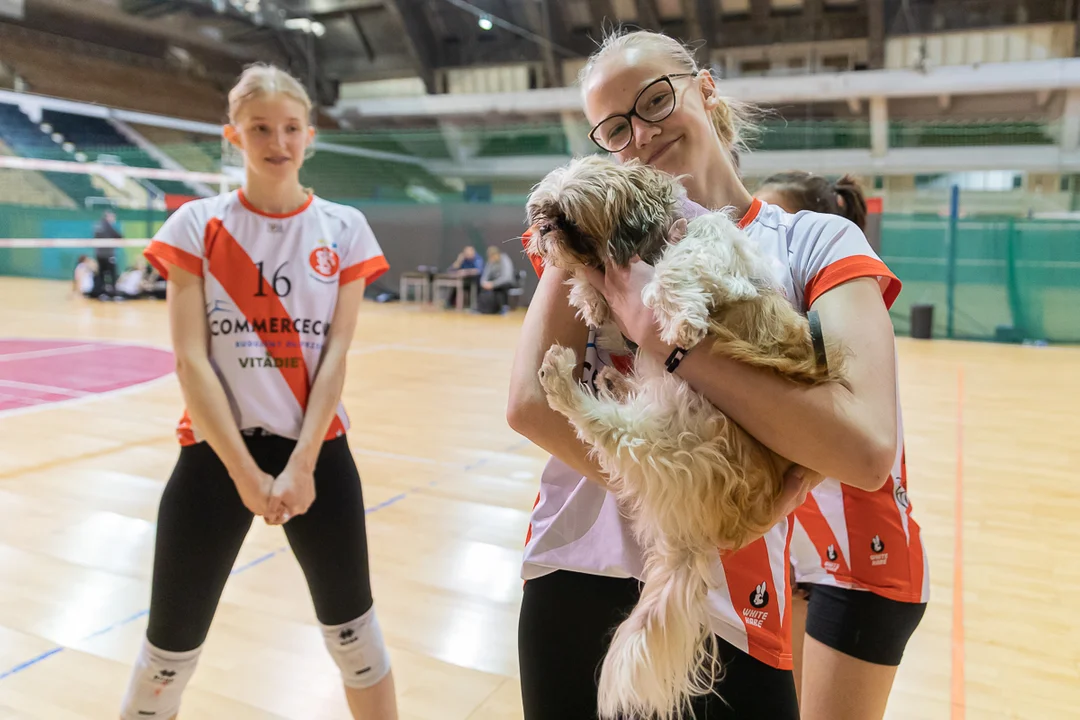 Siatkarki juniorki z Łodzi zdobyły złoto! Zobacz, jak tego dokonały [galeria] - Zdjęcie główne