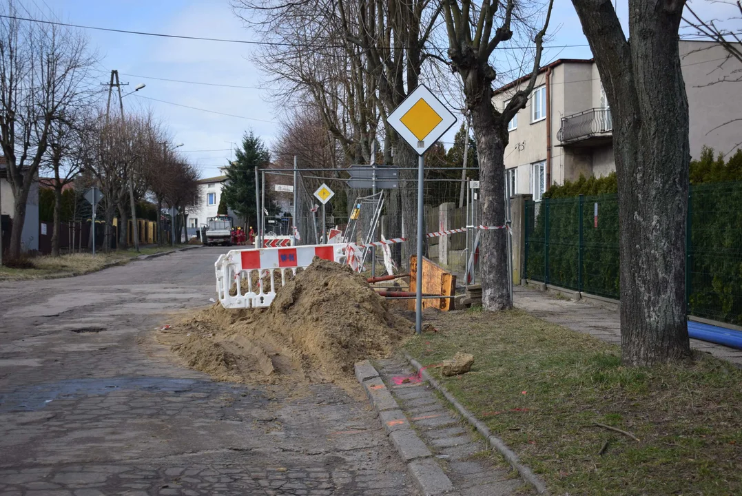 Z ulicy Fijałkowskiego w Zgierzu  znikną drzewa