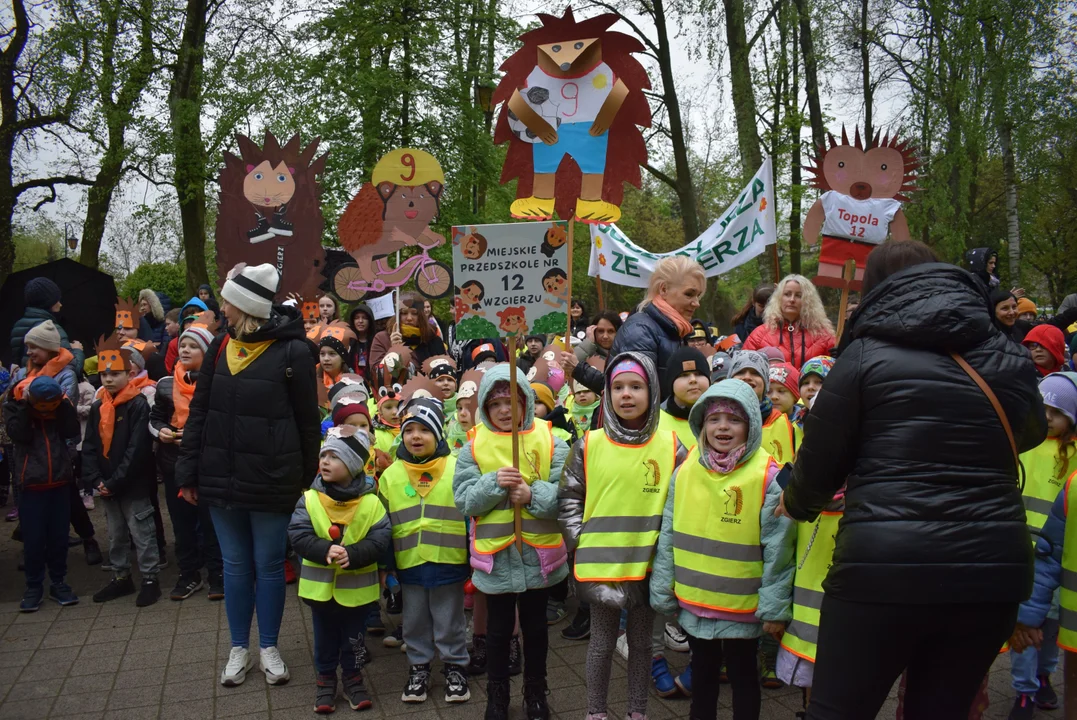 Parada jeży w Zgierzu