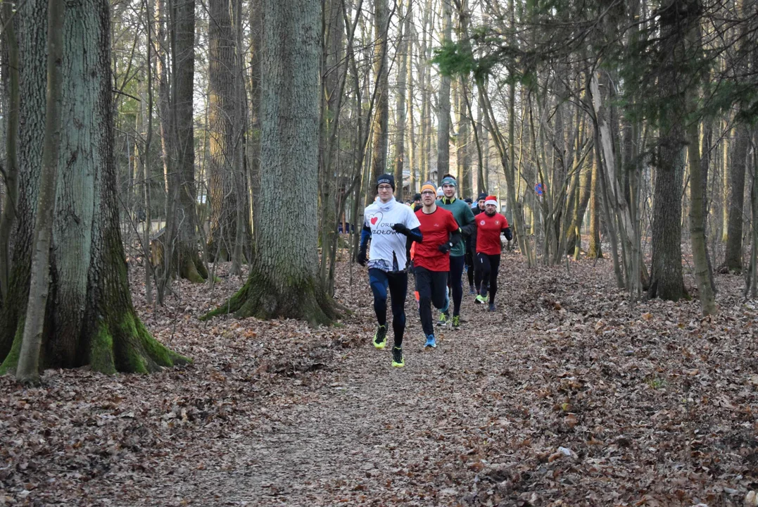 Parkrun w Lesie Łagiewnickim