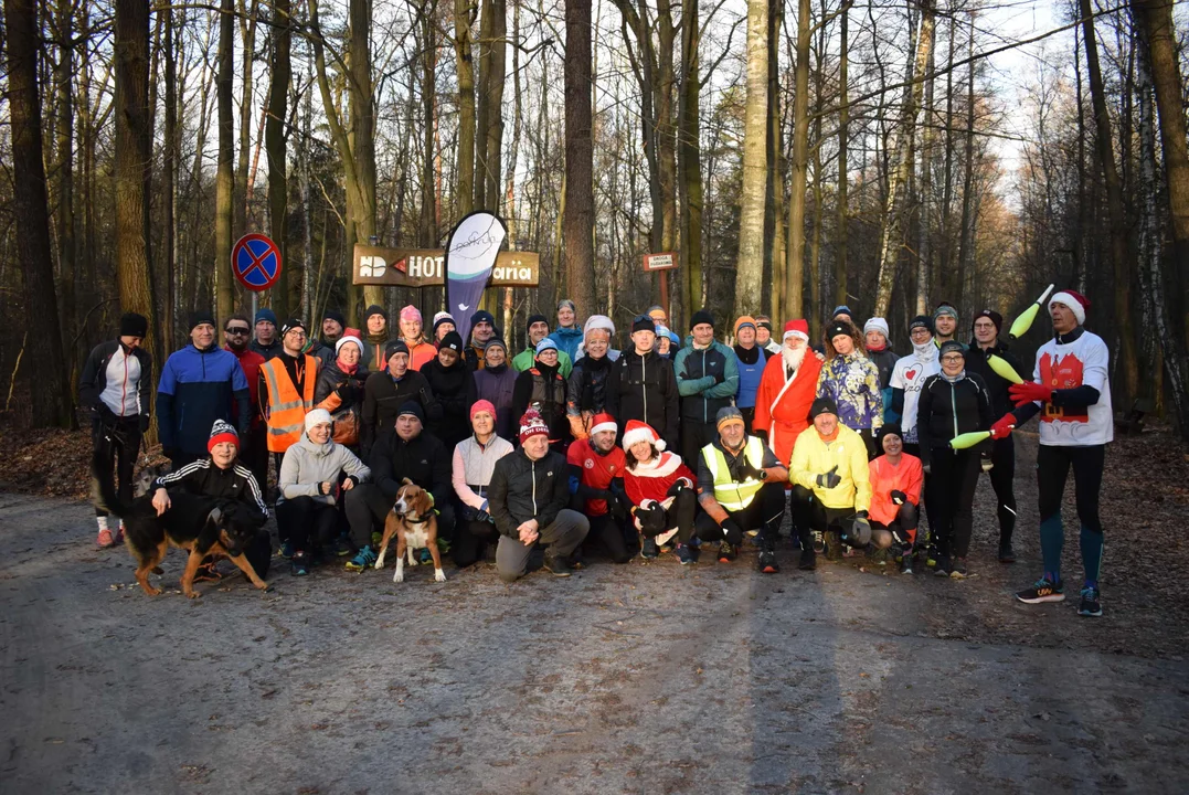 Parkrun w Lesie Łagiewnickim