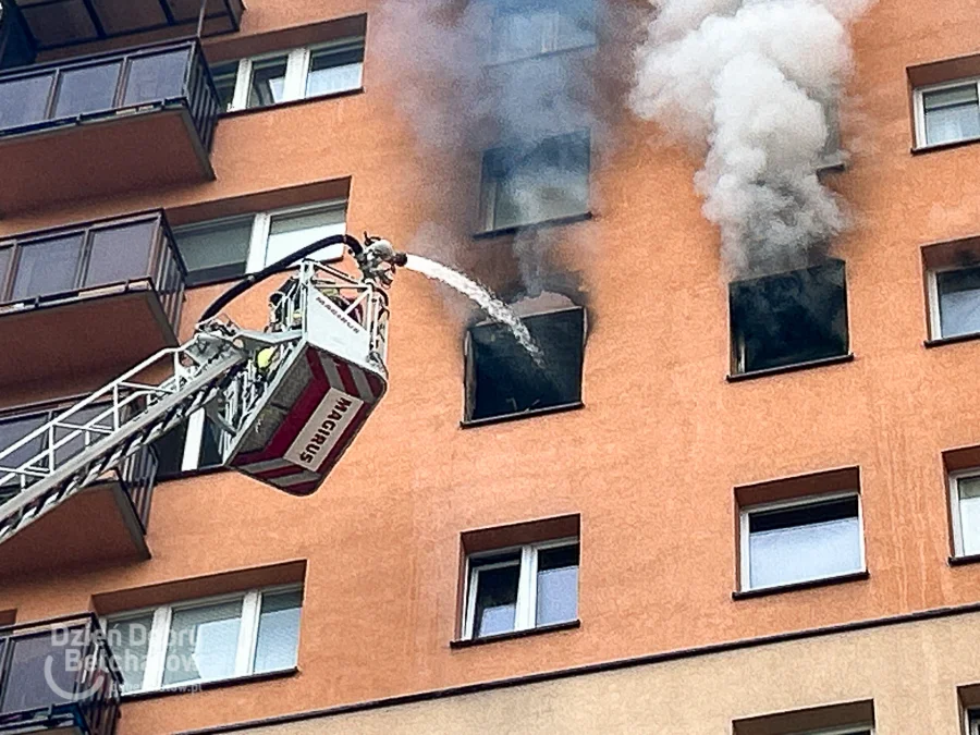 Pożar w wieżowcu na Dolnośląskim. Ewakuowano 50 osób, kilkudziesięciu strażaków walczyło z ogniem [FOTO] - Zdjęcie główne