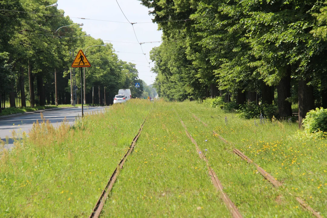 Nieczynne przystanki tramwajowe przy Konstantynowskiej