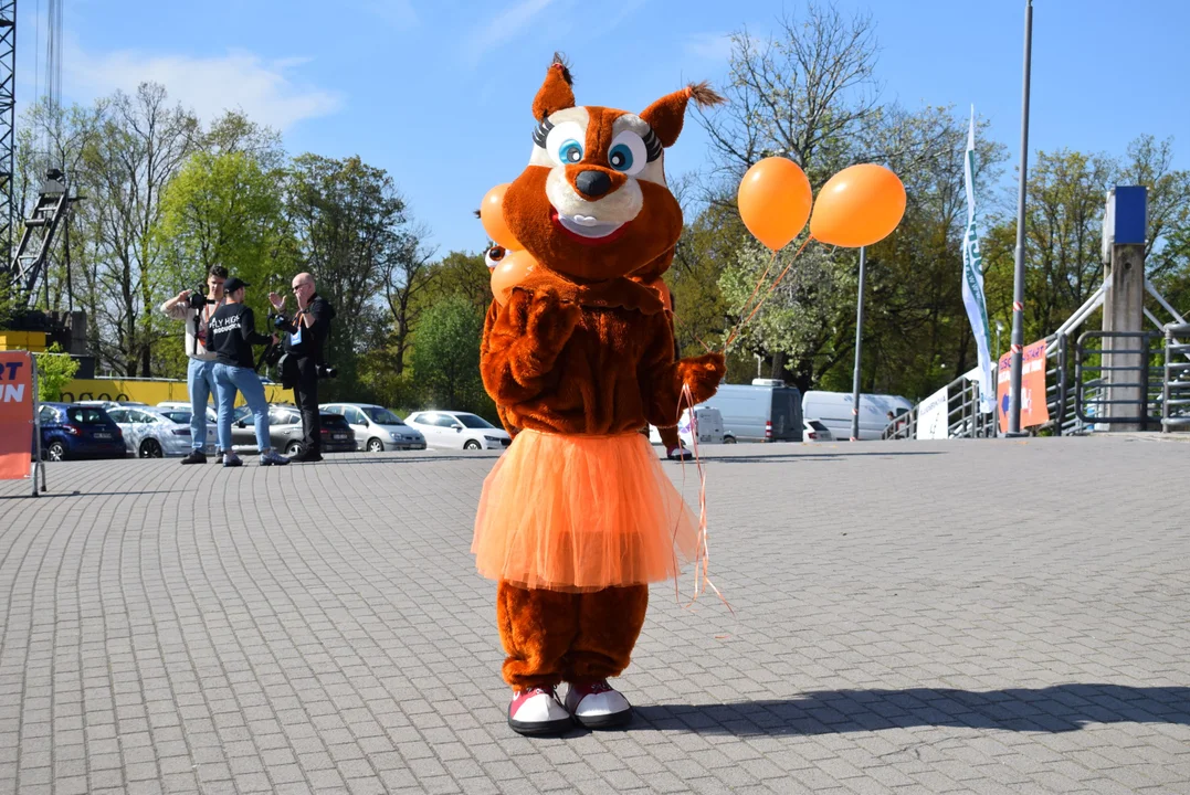 Piknik podczas DOZ Maraton Łódź 2024