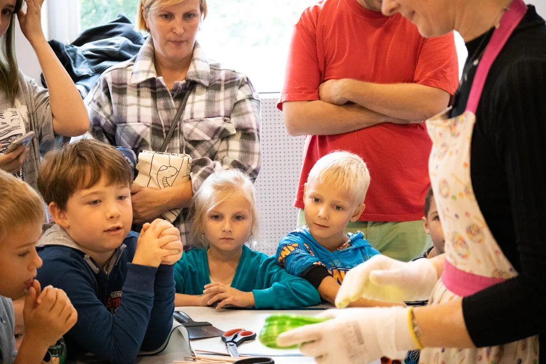 Za nami piknik rodzinny w kutnowskiej bibliotece w ramach tegorocznego Święta Róży