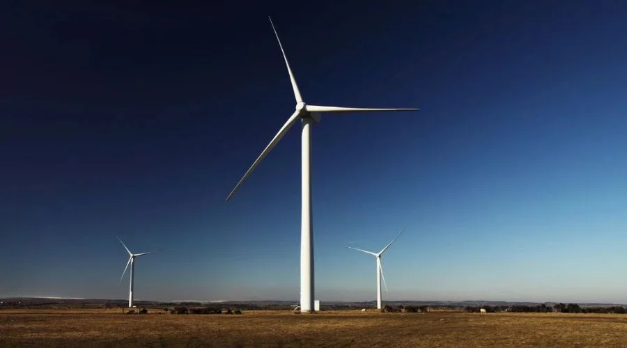 Pod Kutnem uratowano suczkę i pięć szczeniąt