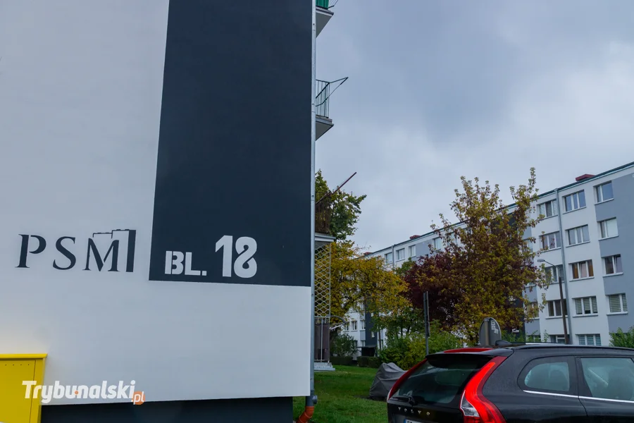 Wycięte drzewa Belzacka Piotrków