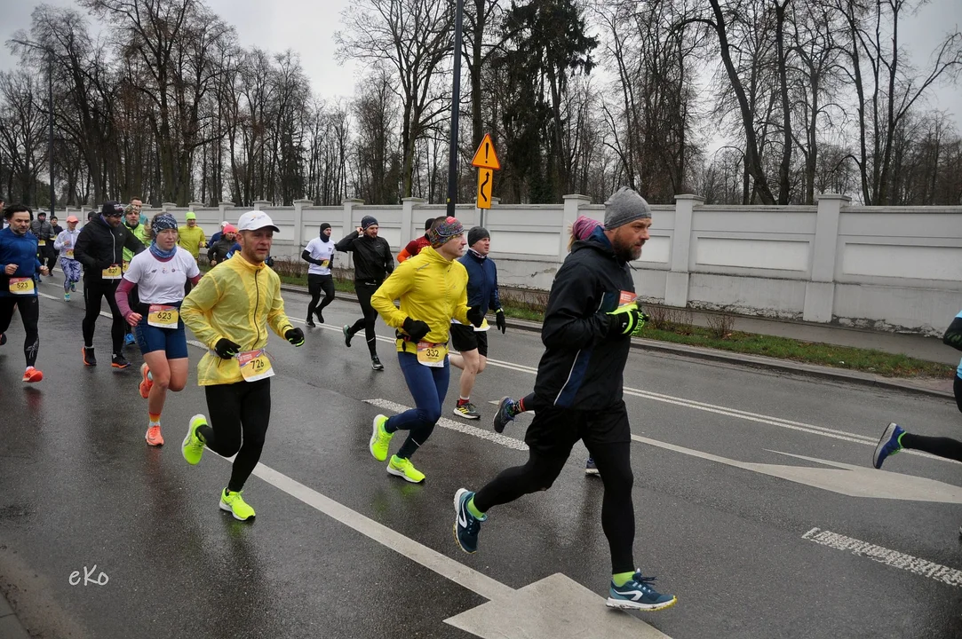 XI Pabianicki Półmaraton