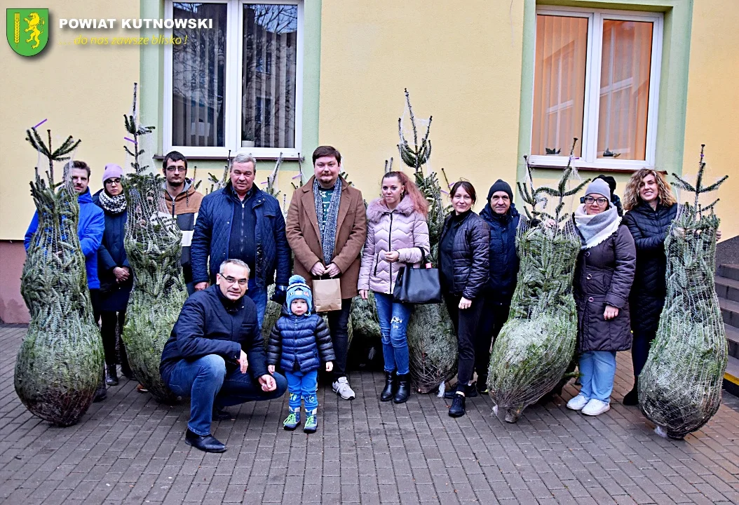 Świąteczna akcja zakończona. Starostwo rozdało 50 choinek! [ZDJĘCIA] - Zdjęcie główne