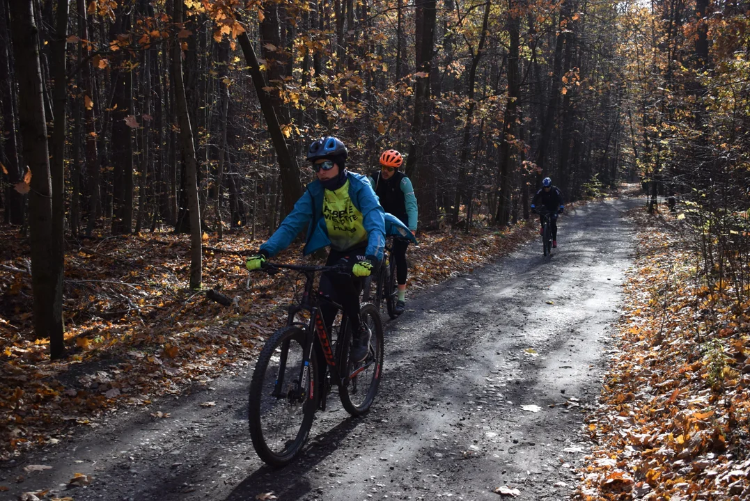 Halloween XC w Lesie Łagiewnickim