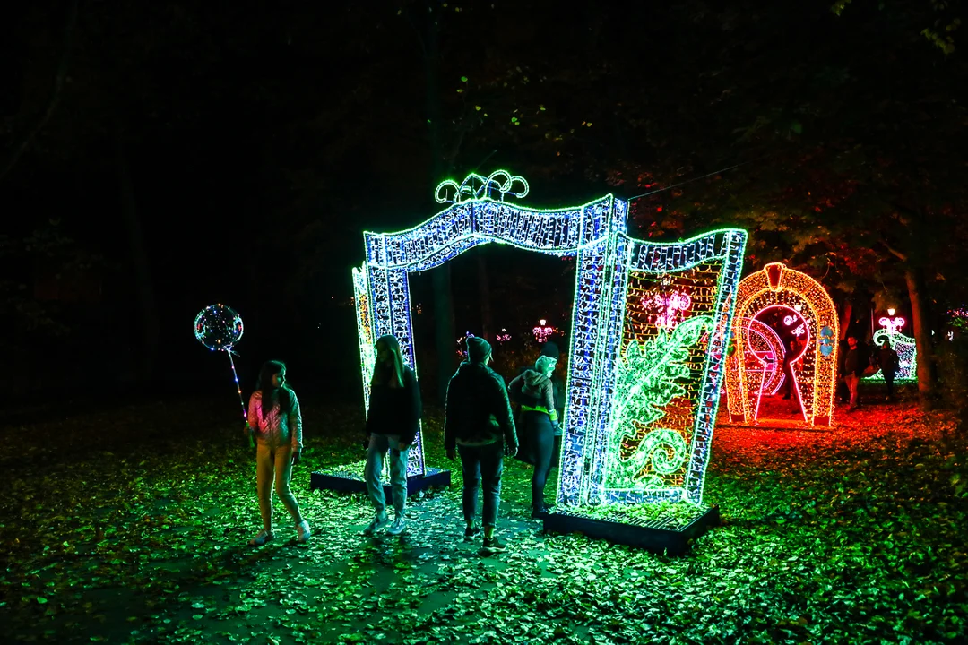 Park Miliona Świateł znów dostępny dla odwiedzających