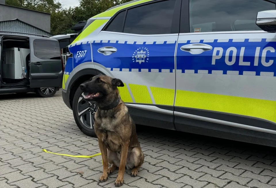 Komisarz Alex się wyprowadza, ale oni stoją na straży. Nela i Tuba służą w zgierskiej policji [ZDJĘCIA] - Zdjęcie główne