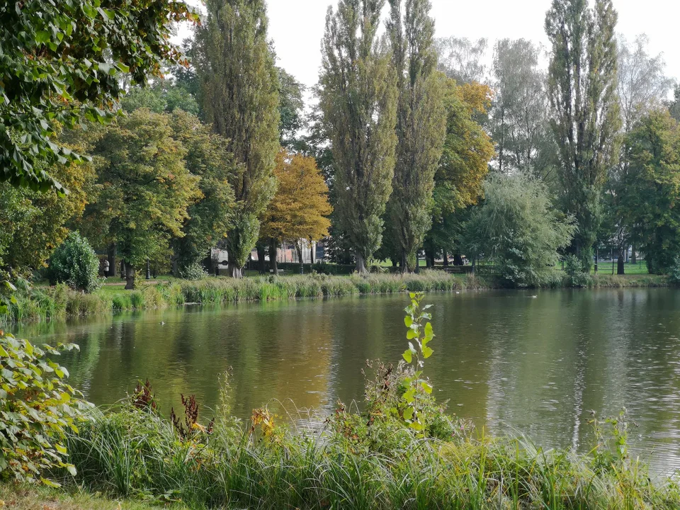 Pierwsze oznaki jesieni w zgierskim parku - zobacz zdjęcia!