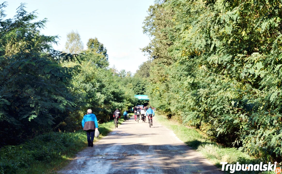 Niepodległa 10 w Lubieniu