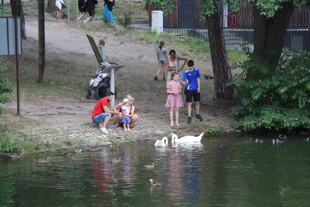 Arturówek podczas upałów - 16.07.2023 r.