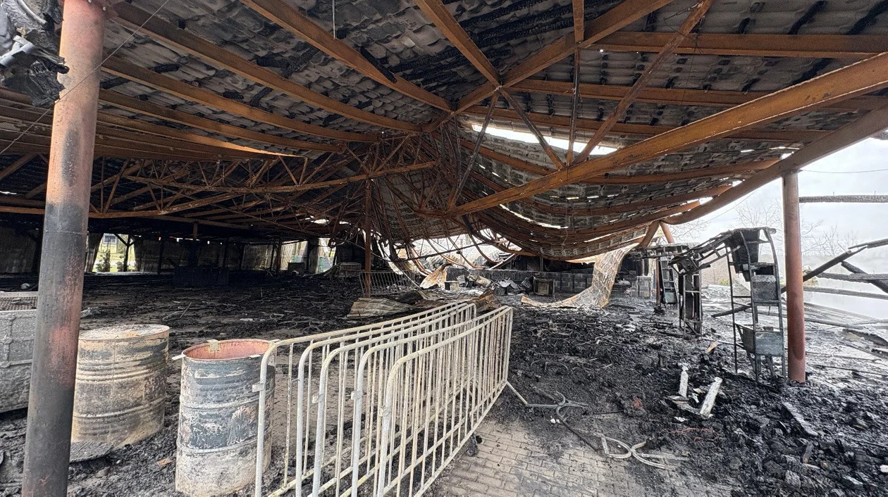 Bawiły się tam setki płocczan. "Razem możemy sprawić, iż znów będzie tętnić życiem"