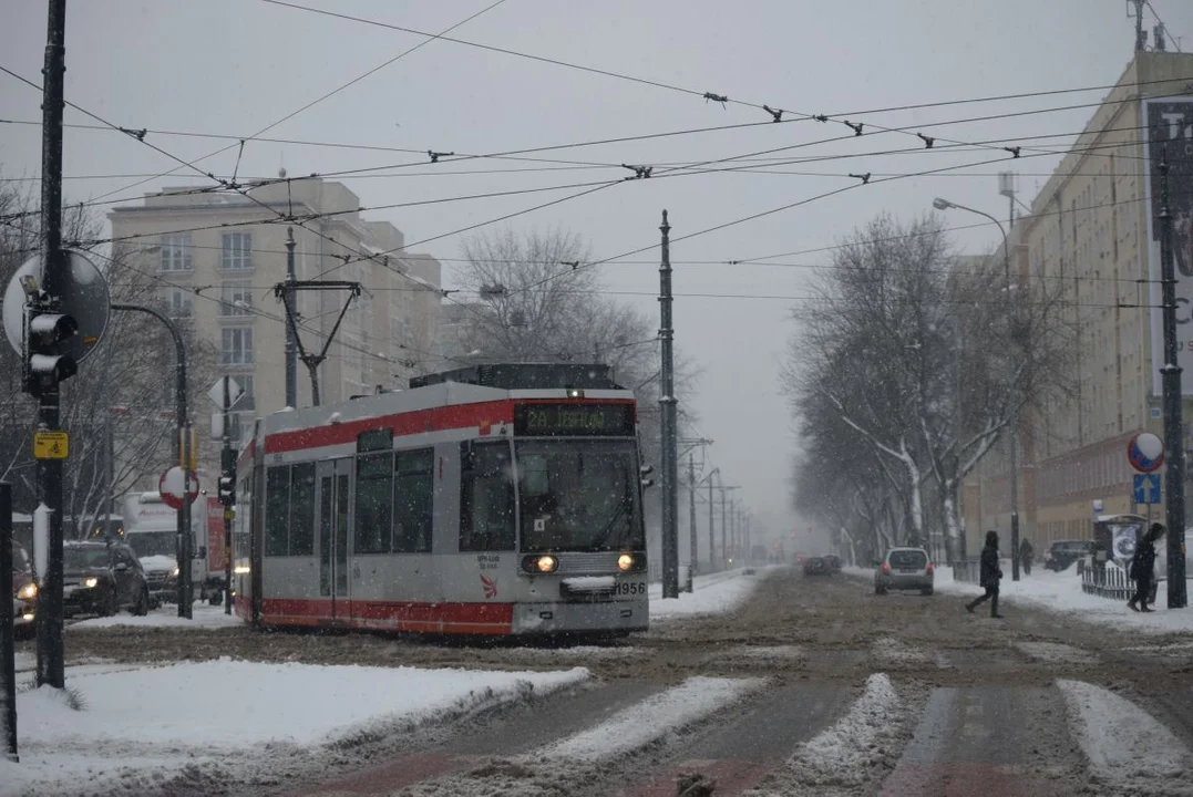 Atak zimy w Łodzi. "Jak zwykle służby w lesie, ale śnieg przykrył brzydotę" [zdjęcia I wideo] - Zdjęcie główne