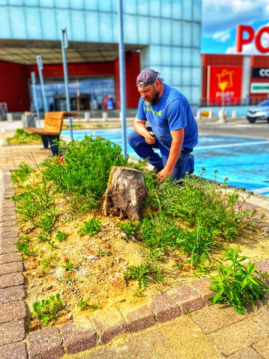 Port Łódź stawia na naturę bez filtrów-