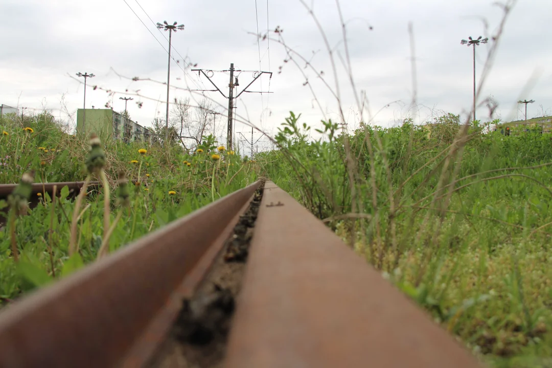 Mieszkańcy Dąbrowy czekają na powrót tramwajów MPK