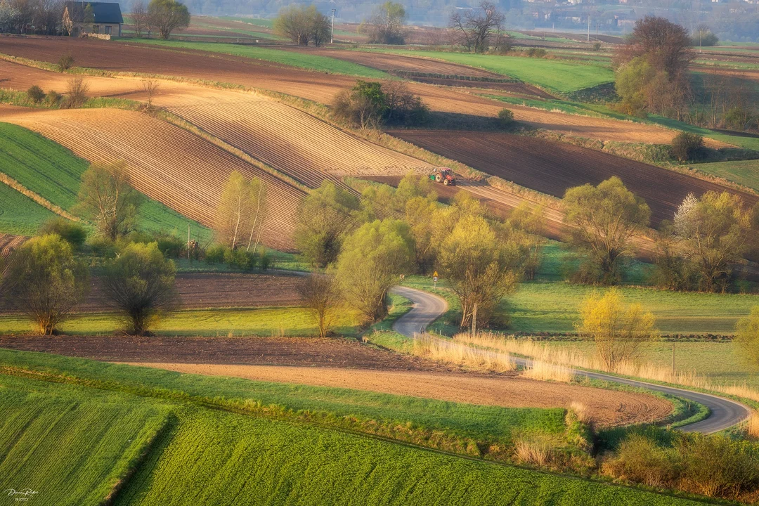 Wernisaż wystawy fotografii Damiana Redlickiego. Zdjęcia zapierają dech w piersiach [galeria]