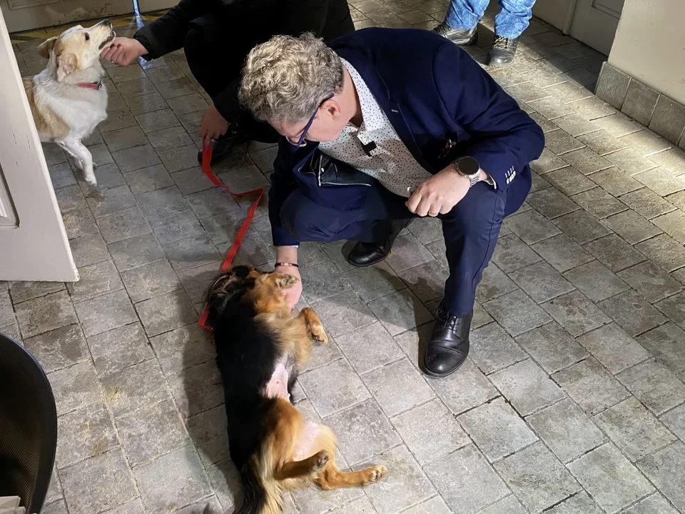 Ośmioletnia Kesa zamieszkała w aleksandrowskim urzędzie