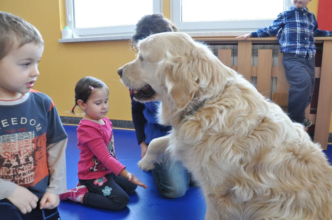 Fundacja Ana Canem Dogoterapia