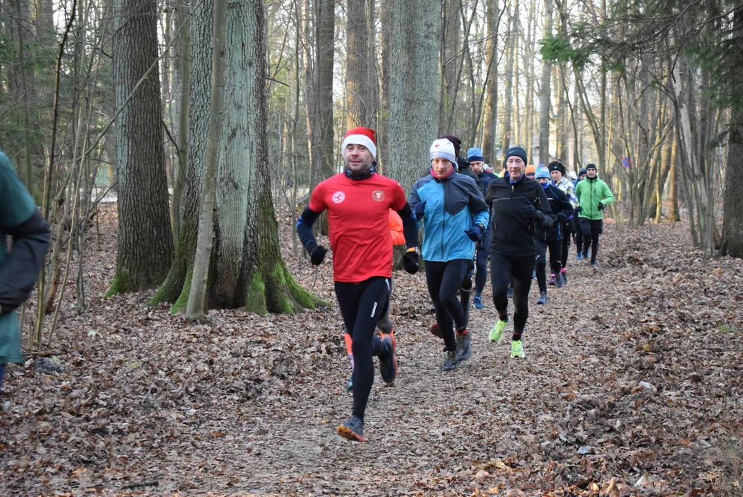 Parkrun w Lesie Łagiewnickim