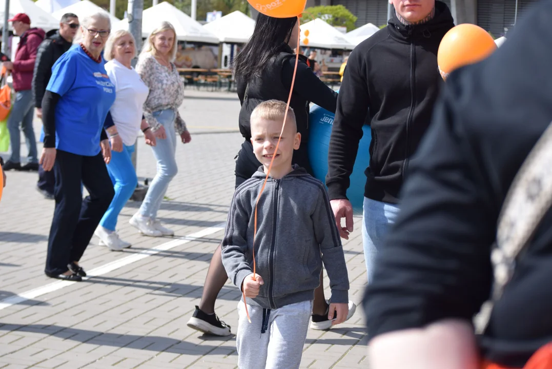 Piknik podczas DOZ Maraton Łódź 2024