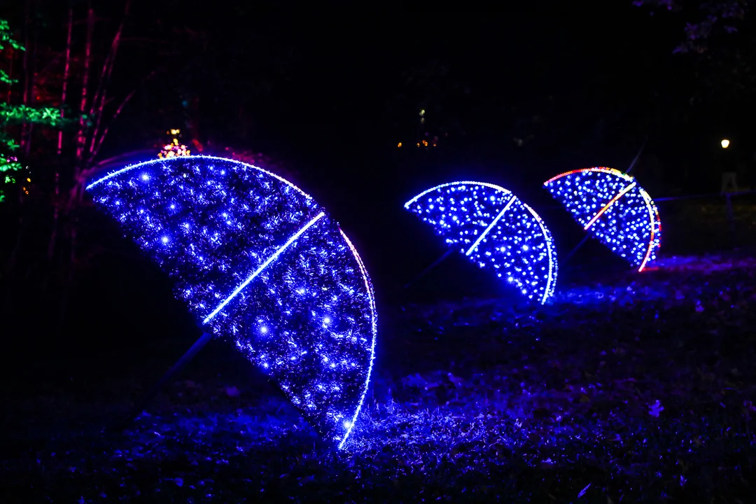 Park Miliona Świateł znów dostępny dla odwiedzających