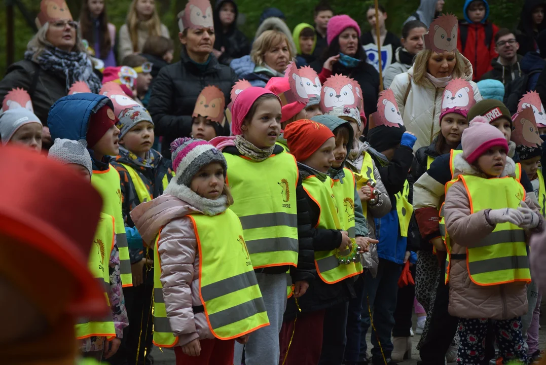 Parada jeży w Zgierzu