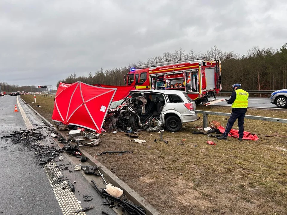 4-latka straciła bliskich w tragicznym wypadku w Łódzkiem. Teraz sama zginęła pod kołami pirata drogowego - Zdjęcie główne