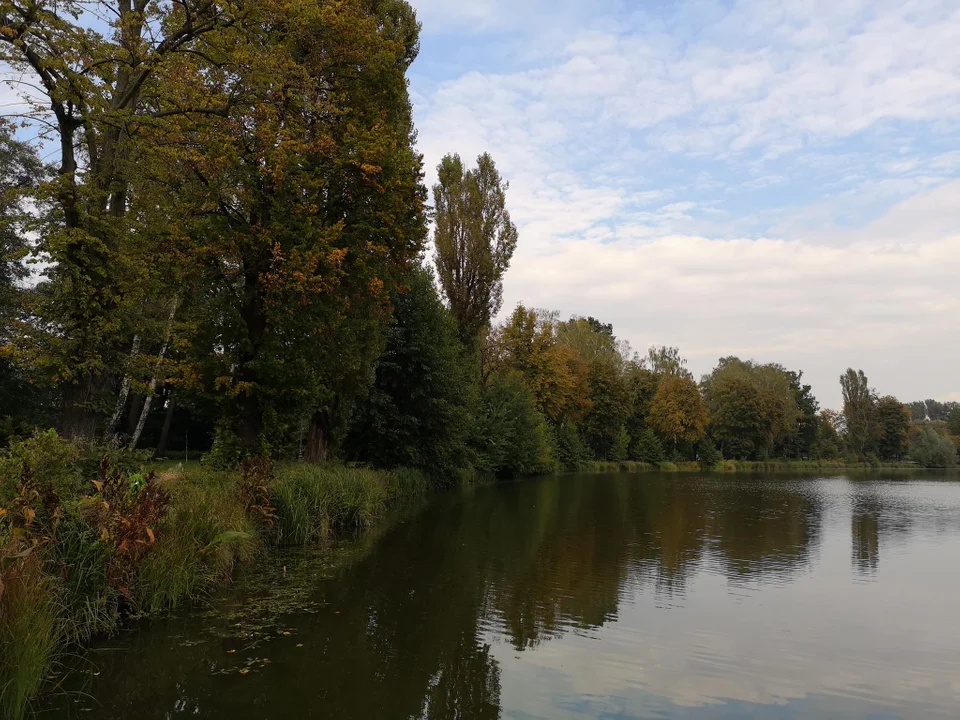 Pierwsze oznaki jesieni w zgierskim parku - zobacz zdjęcia!