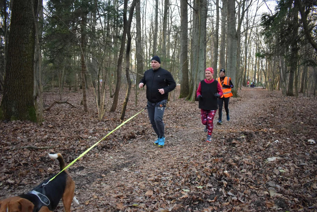 Parkrun w Lesie Łagiewnickim