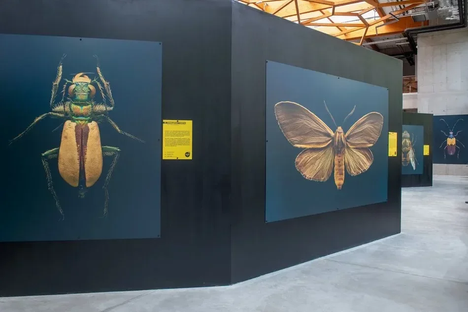 Unikalna wystawa w Orientarium Łódź