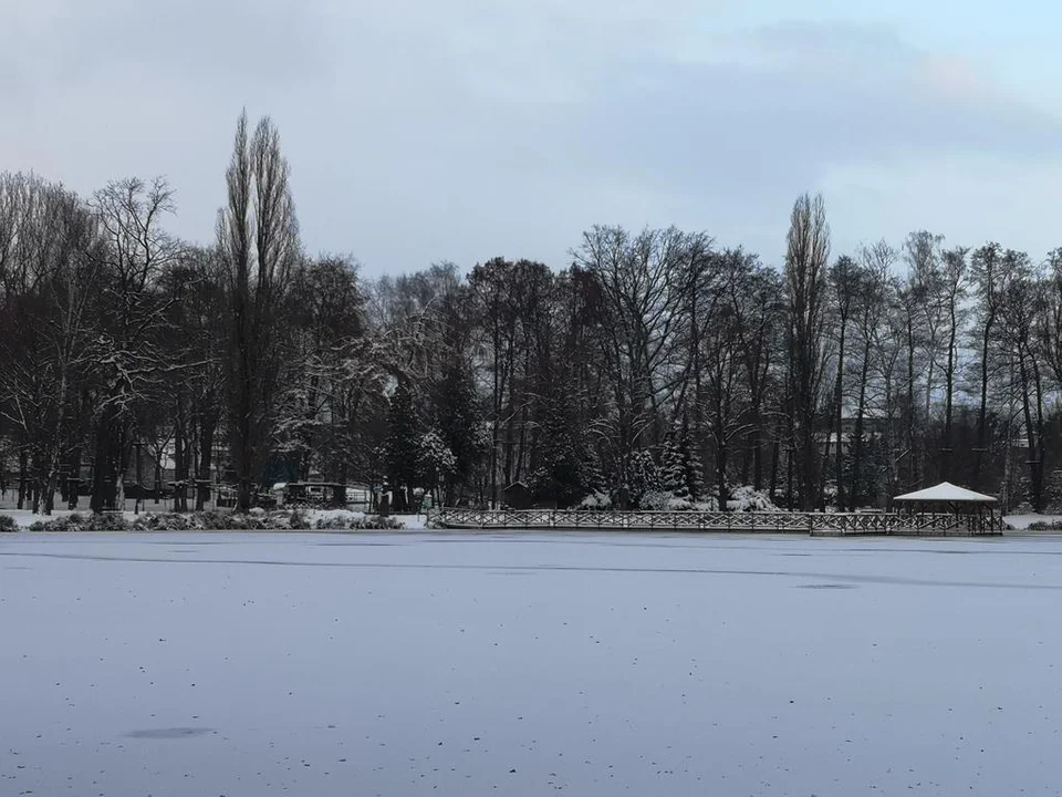 Zima zagościła w Parku Miejskim