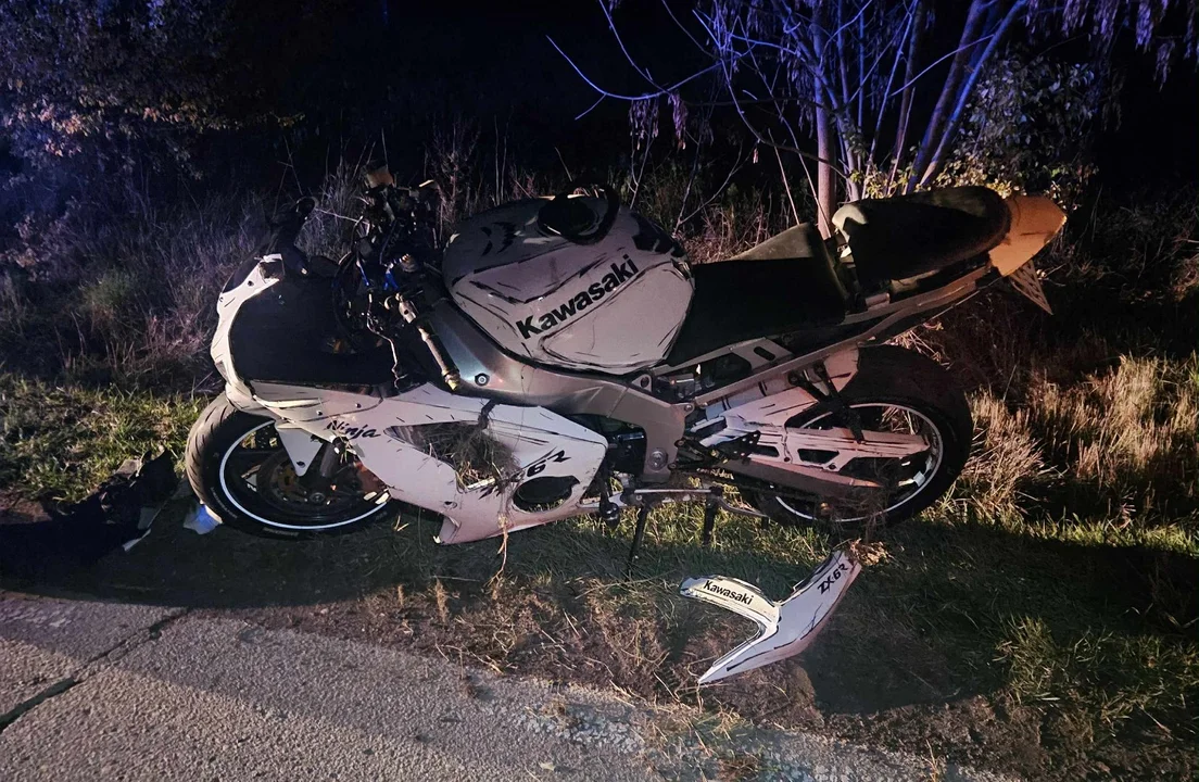 Zderzenie z sarną pod Płockiem