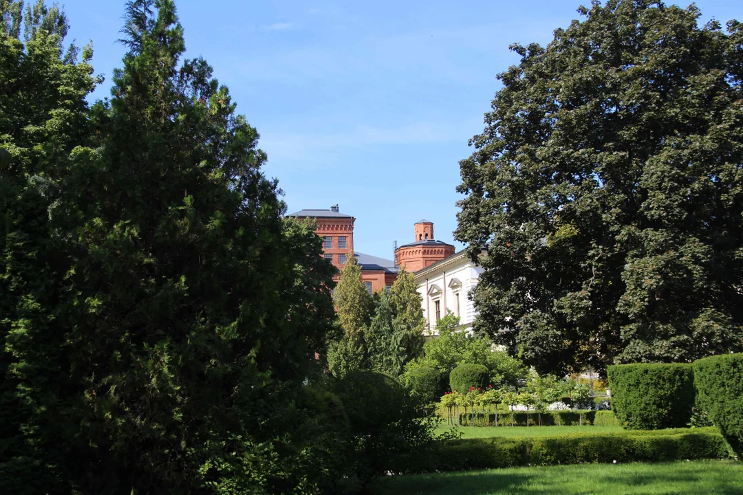 Zachwycający ogród Muzeum Pałacu Herbsta